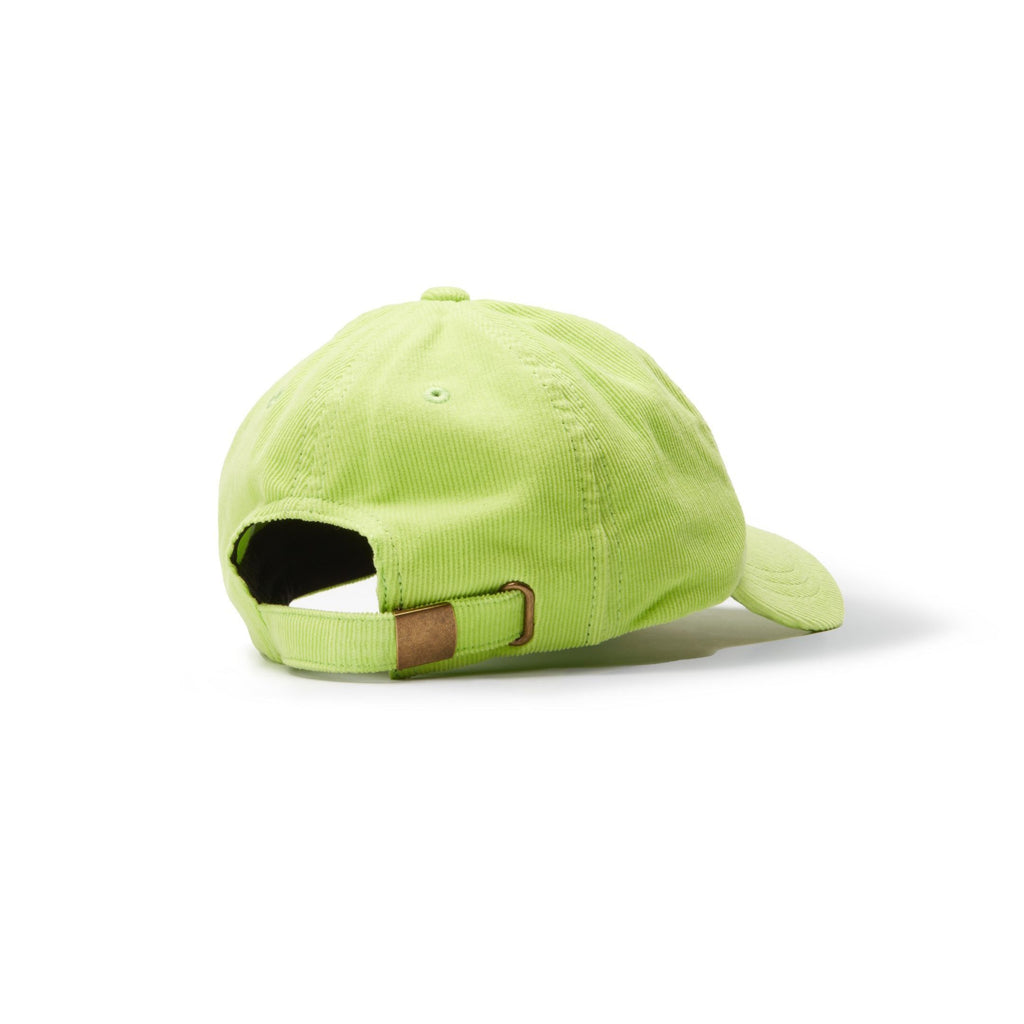Frisco lime pet