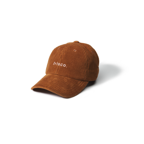 frisco pet bruin